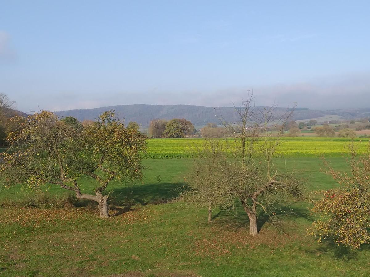 Ferienwohnungen Zum Lindenwirt Oberweser 외부 사진